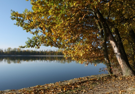 Podzim u přehrady