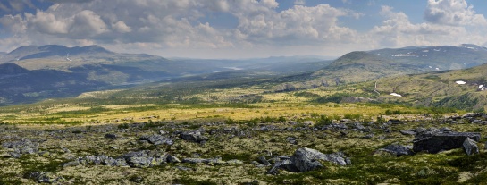NORSKO