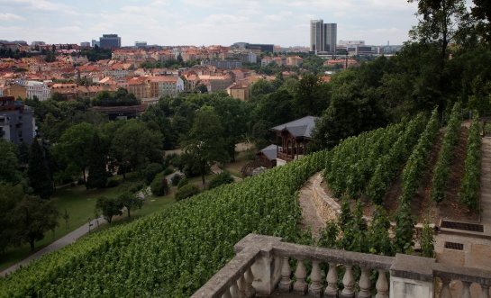 Praha - Havlíčkovy sady