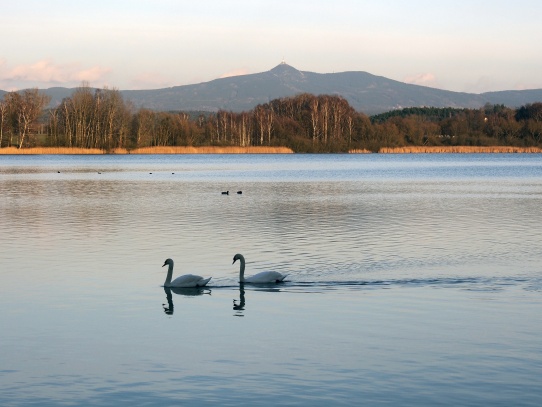 Horecký rybník