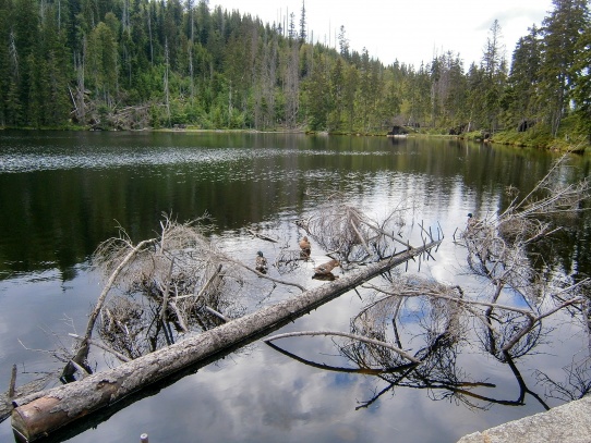 Prášilské jezero