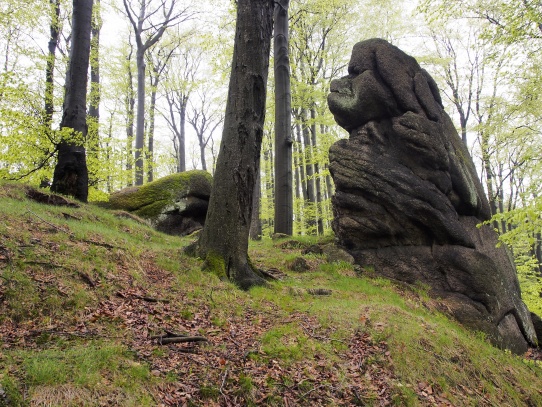 Oldřichovské háje a skály