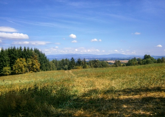 Rozhledna v Popelkách