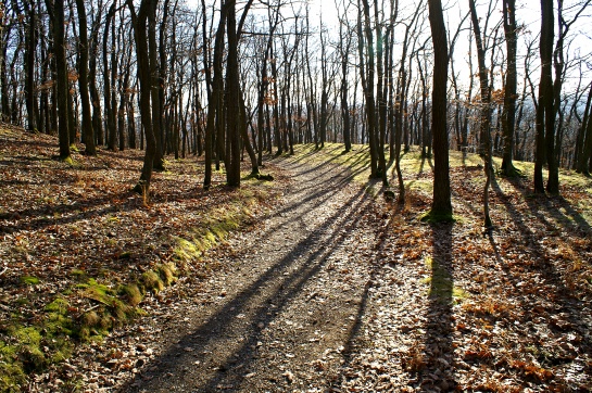 Závist u Zbraslavi - největší keltské oppidum