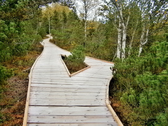 Chalupská slať