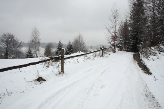 Velká Rača