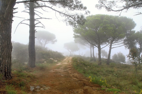  Monastir (klášter) de Sant Pere de Rodes
