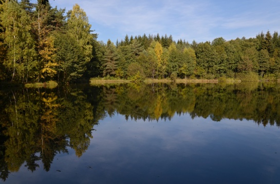 zrcadlení Sobenský rybník
