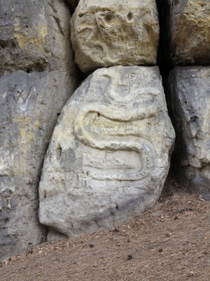 Had na skále - skalní reliéf - detail
