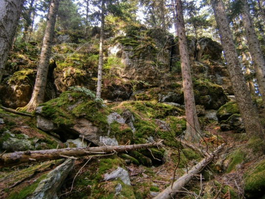 Sedlo ( 902 m.n m. )
