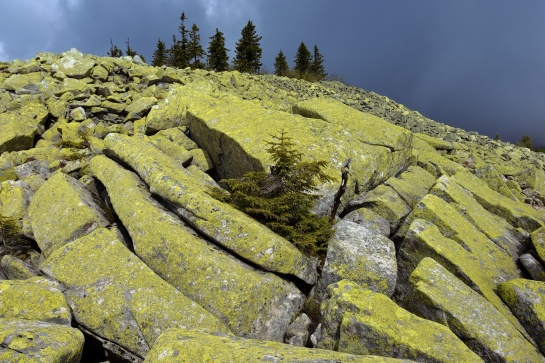 Šumava