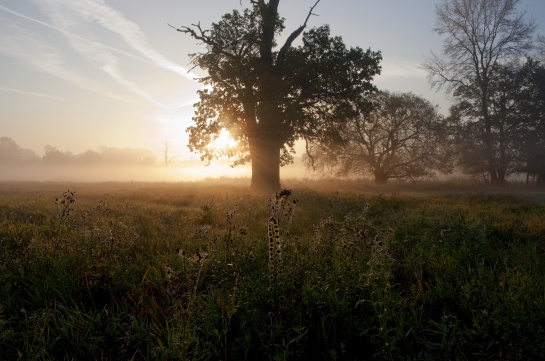 Jak se rodí den na Pohansku