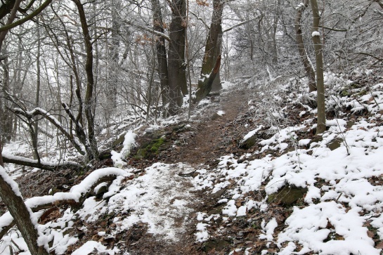Cesta na kopec Boreč