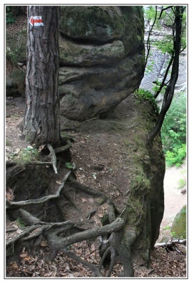 Drábské světničky