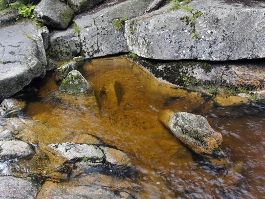 Pod vodopádem Jedlové