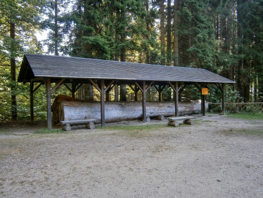 Boubínský prales