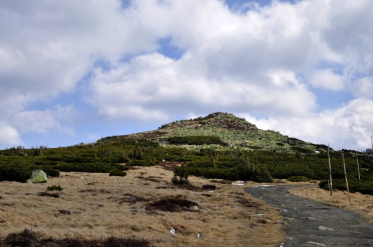 Violík - Krkonoše