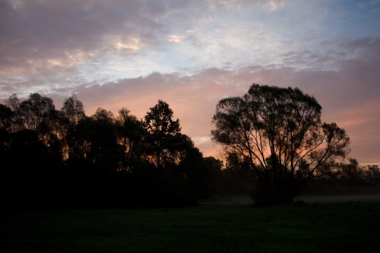 Svítání v Poodří