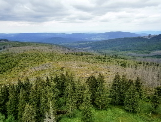 Rozhledna Poledník