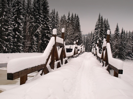 Hradlový most pod Modravou