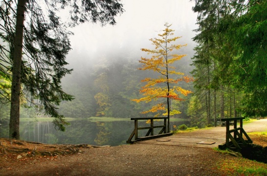 boubínské jezírko