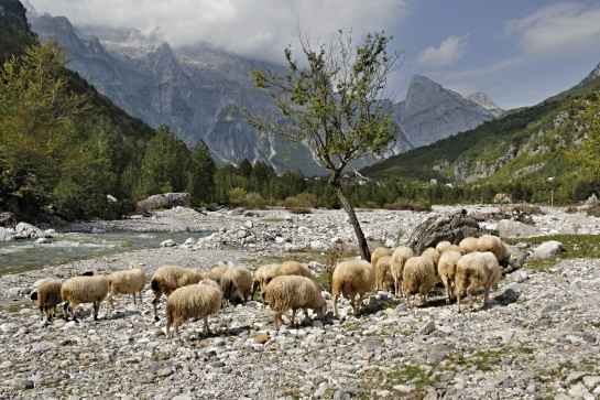 Albánie  -  vesnička  Theth  -  národní park