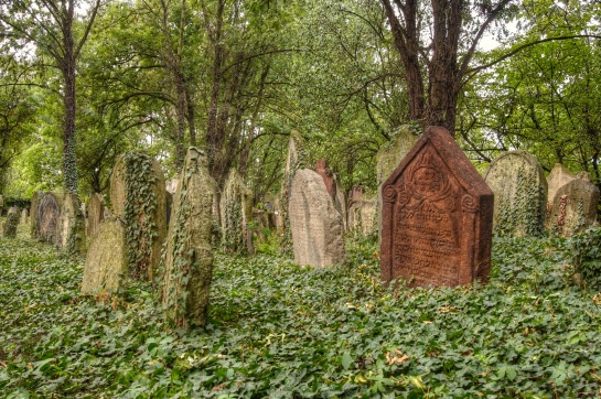 Starý židovský hřbitov v Kolíně