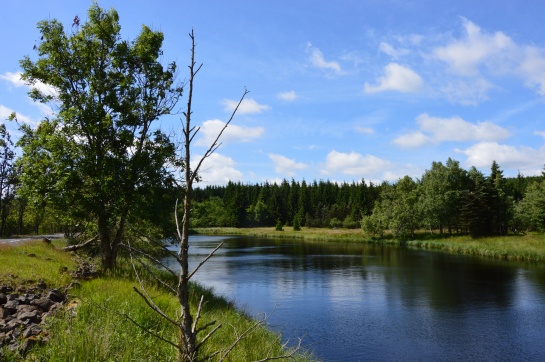 Krušnohorské rybníky, Svahová 