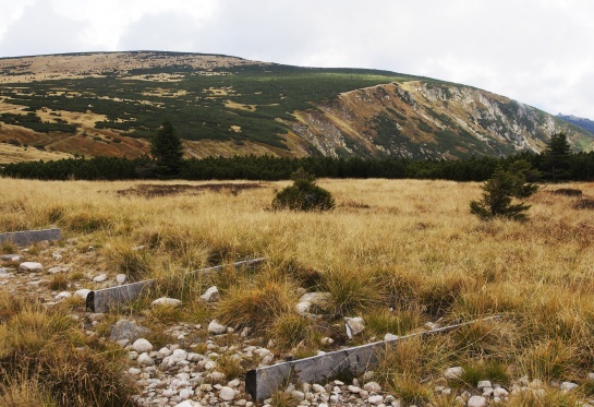 Krkonoše