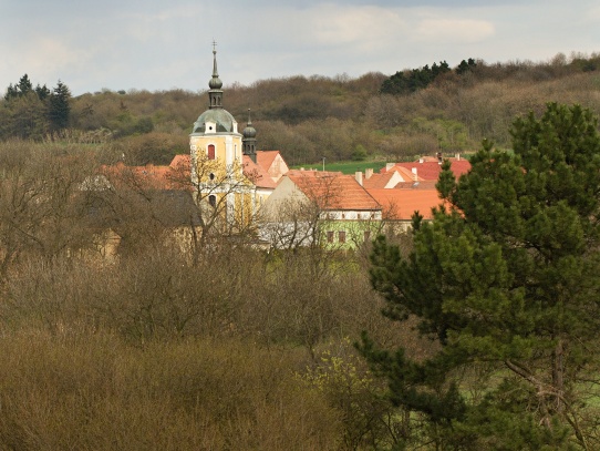 Kostel sv. Martina v Kozlech