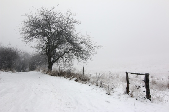 Zimní krajina pod kopcem Boreč