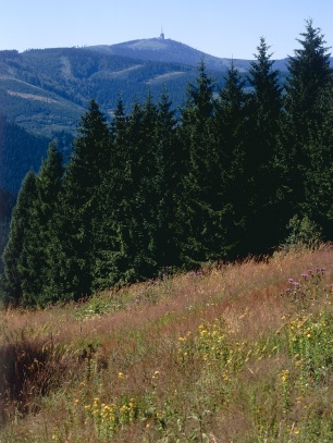 Lysá hora
