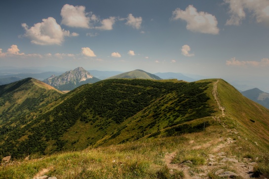 hřebenovka