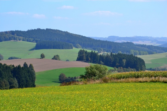 Příroda u Daňkovic