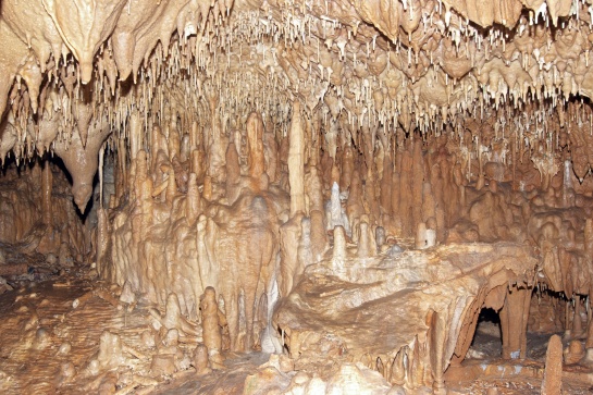 Javoříčské jeskyně