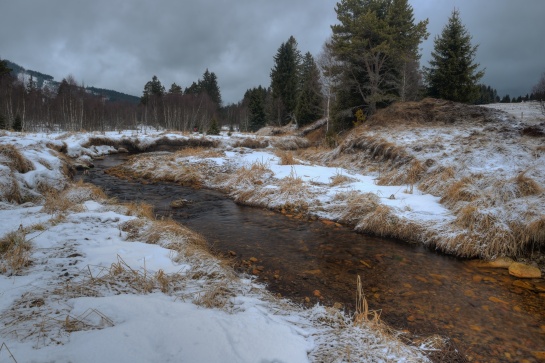 Šumava