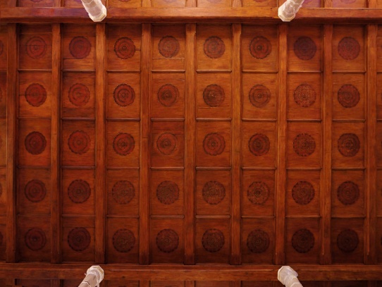 Stará synagoga - detail stropu