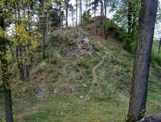 Zřícenina hradu Velešín
