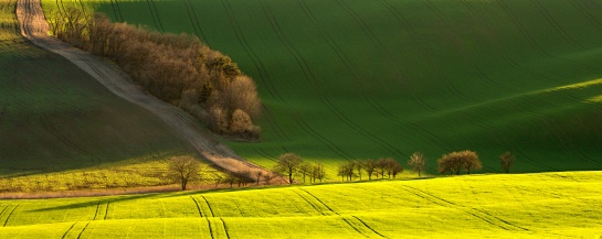 Podvečerní polní panorama
