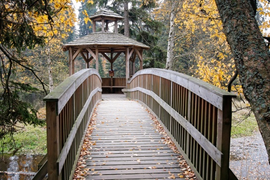 Naučná stezka Kladská - Tajga