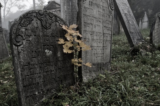 Mikulov - židovský hřbitov