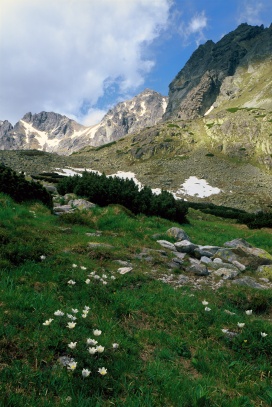Vysoké Tatry, Mengusovská dolina