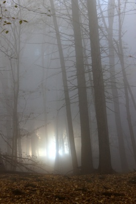 Mrazivá mlha na Drbákově