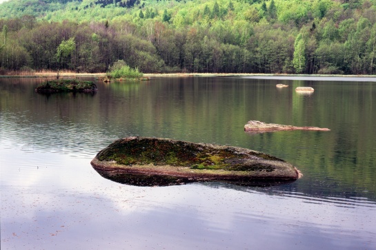 Šolcův rybník II