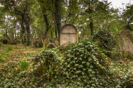 Starý židovský hřbitov v Kolíně