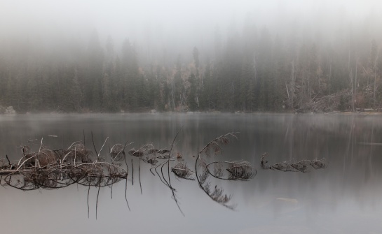 Prášilské jezero 01