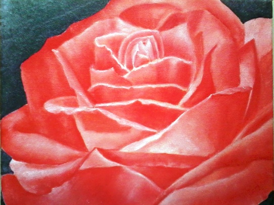 Limitovaná série ,, Růže od Casanovy