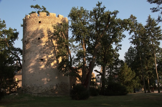 Věž