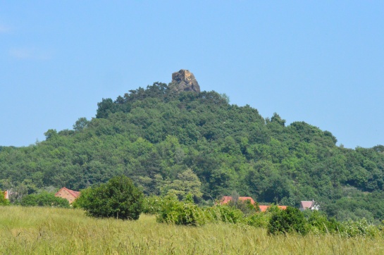 Kamýk, zřícenina hradu na Litoměřicku