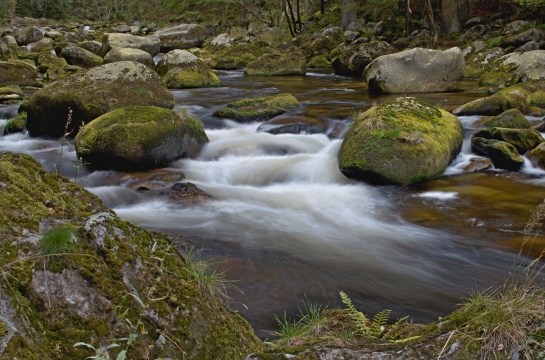 řeka Vydra , Šumava 